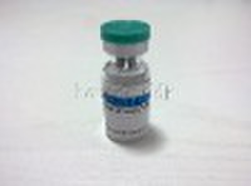 IGF-1 LR3   IGF-1  IGF