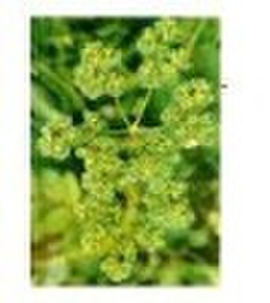 Dibenzyl diisopropylphosphoramidite / 108549-23-1