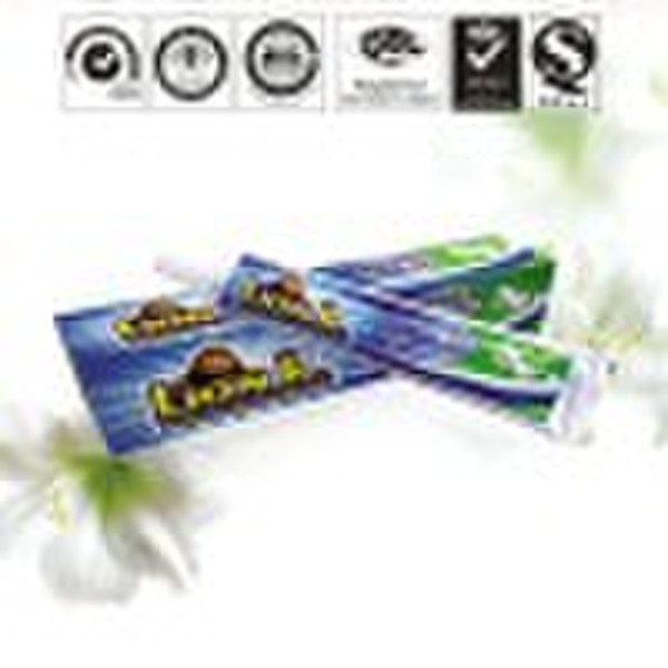 LIONK  mint toothpaste,personal care,tooth paste