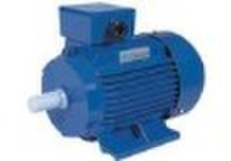 Y2SERIES THREE-PHASE INDUCTION MOTORS