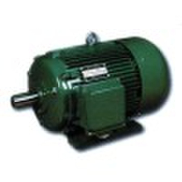 Y SERIES THREE-PHASE INDUCTION MOTORS