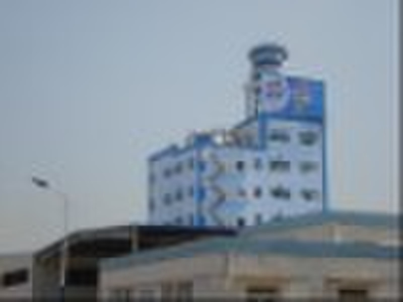 Washing Powder Plant