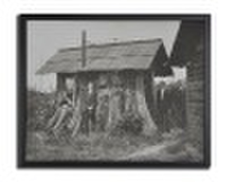 Printed painting, old photo with black frame
