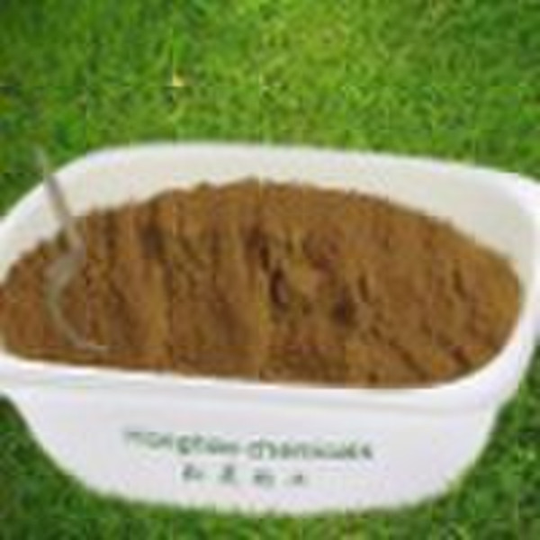 Plant extracts High Quality Factory Ginkgo Biloba