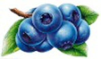 Blueberry Flavour for Food