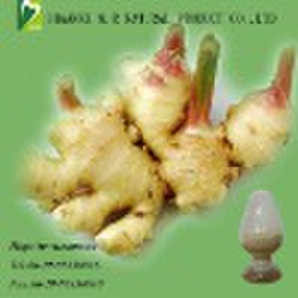 Ginger P.E.| Extract| Gingerol