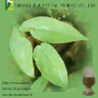 Epimedium P.E.| Epimedium Brevicornum Extract