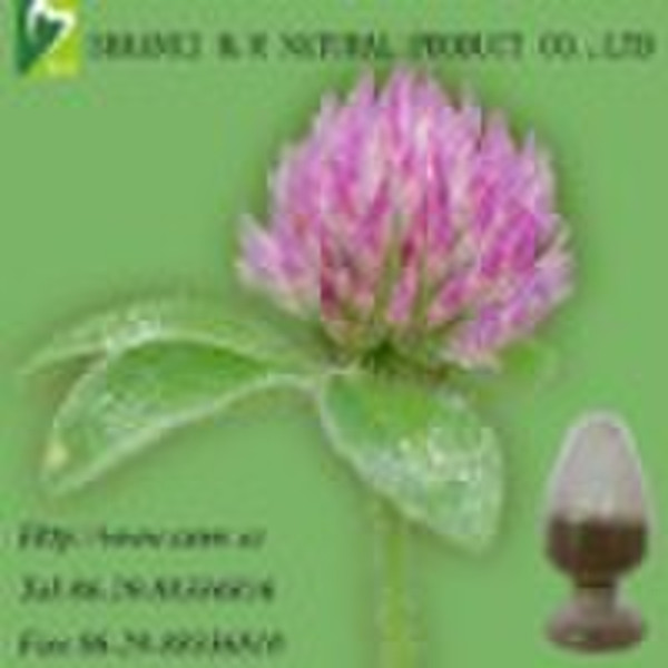 Red Clover P.E.------passed Kosher,ISO9001/HACCP e