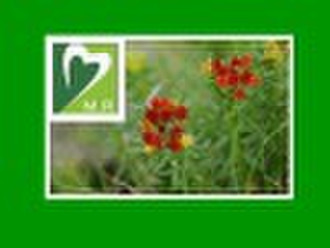 Rhodiola Rosea P.E.---Salidroside+Rosavin (HPLC1%+