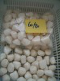 frozen bay scallops