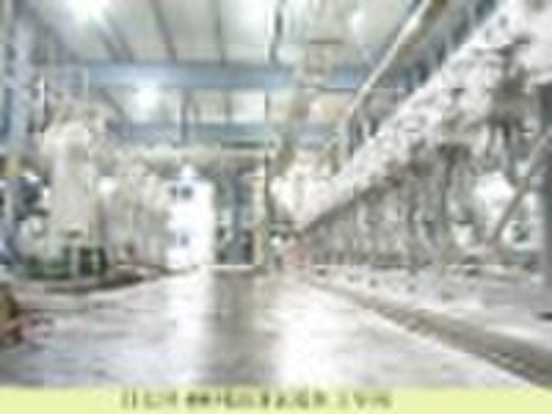 starch processing line