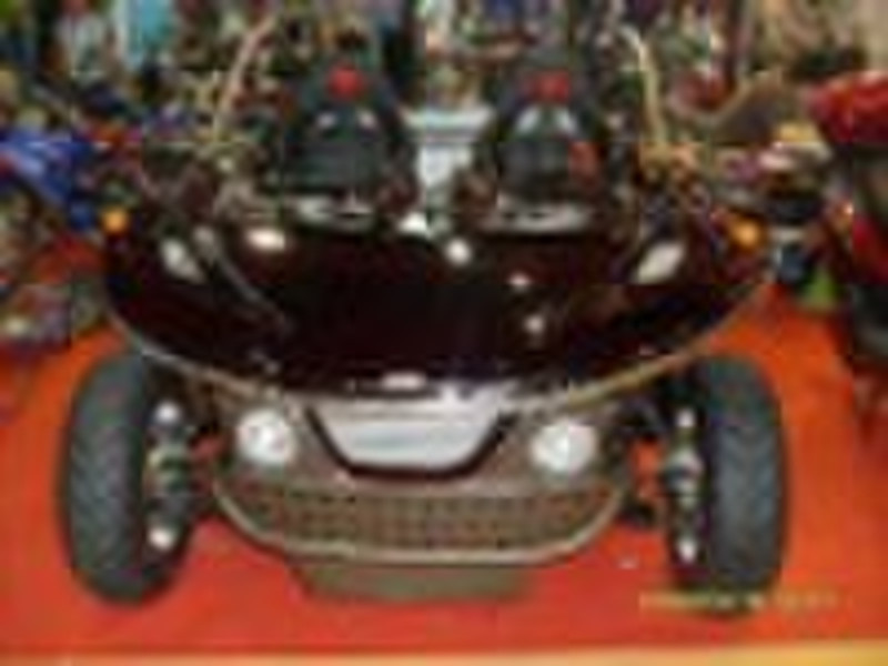 buggy 1100cc