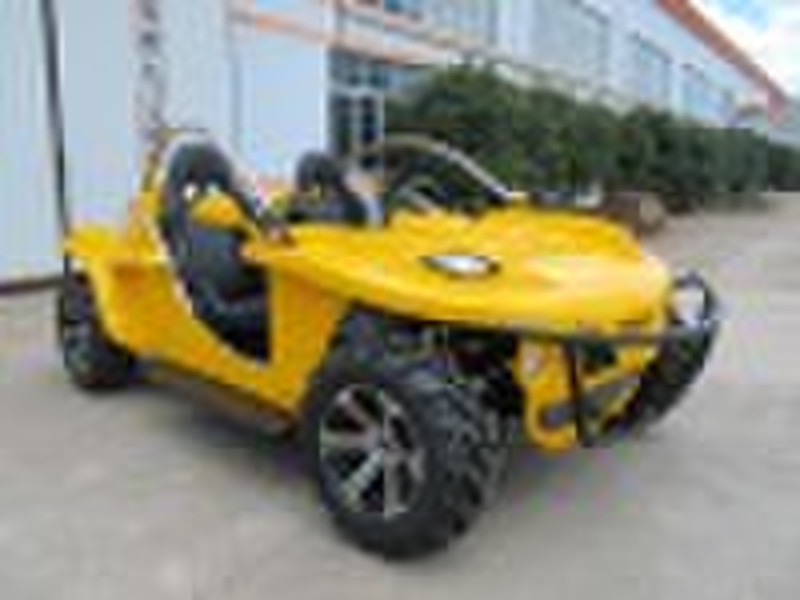 1300cc Rennbuggy