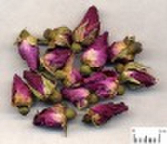 Rose Extract