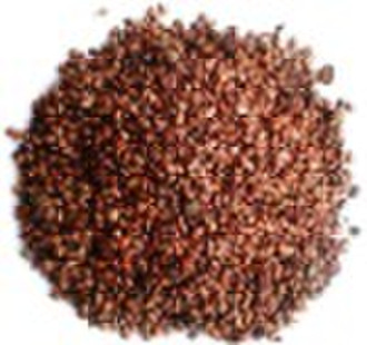 Grape Seed Extract 95%