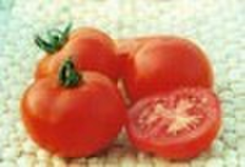 Lycopene 5%