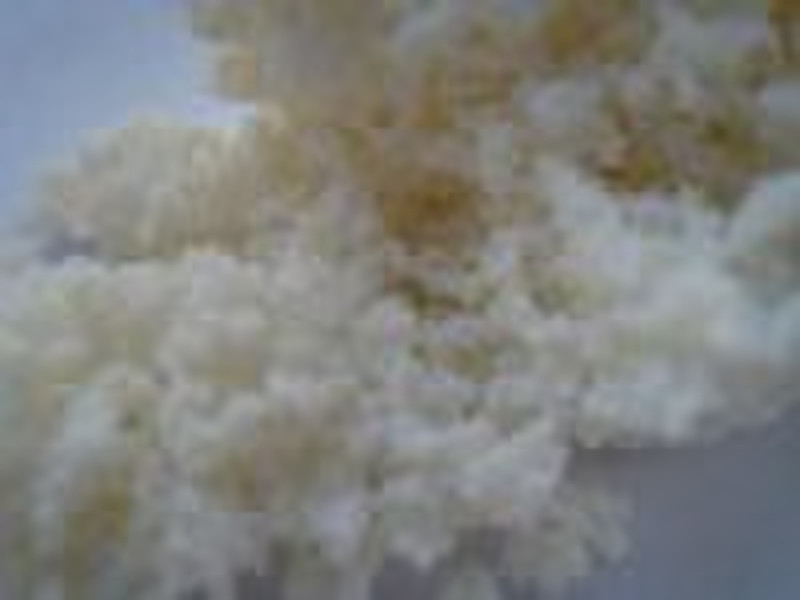 LXA 1180 Polymeric Adsorbents