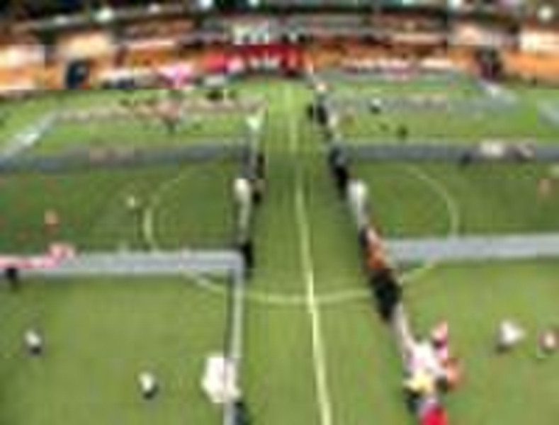 FUTSAL/soccer court