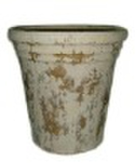 Eco-friendly Biodegradable Flower pots & Plant