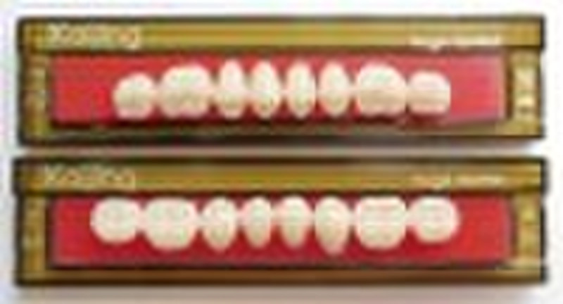 KAIJING 28 posterior