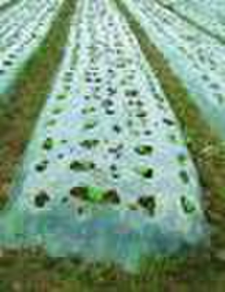 Biodegradable Mulching Film