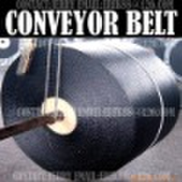 Nylon Conveyor Belt