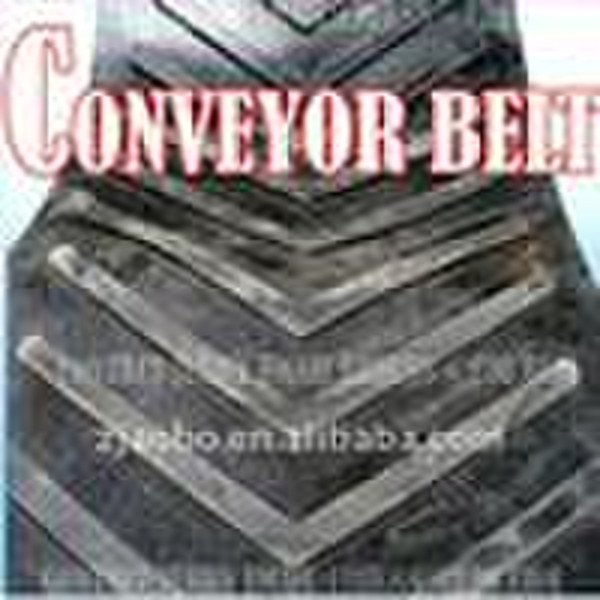 Patterned Conveyor Belt