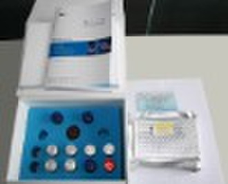 Rat Brain Derived Neurotrophic Factor  ELISA Kit