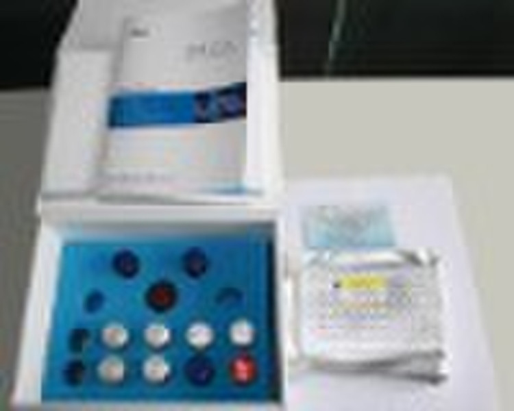 Human anti-oncogene p21 protein ELISA Kit