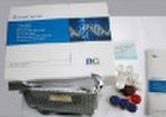 Mouse Glucosidase ELISA Kit