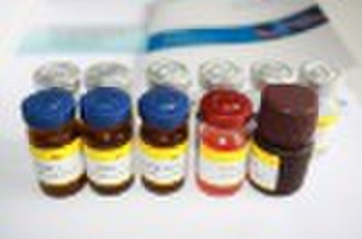 CytokeRatin Fragment Antigen 21.1 ELISA KIT