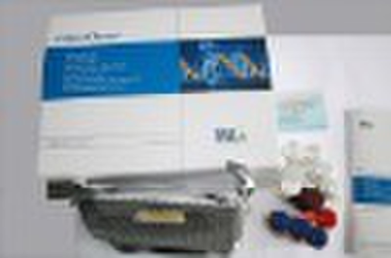 Human Betacellulin Elisa Kit (bTC)