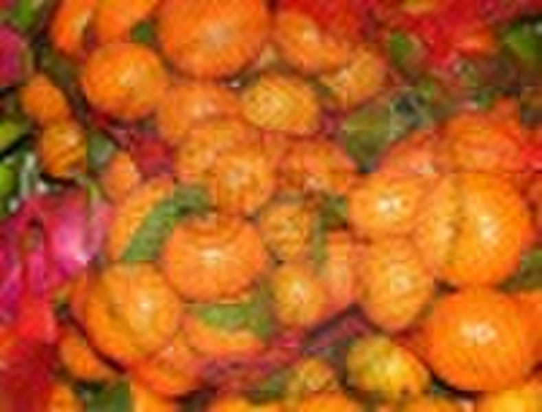 Obst Netzbeutel / orange Verpackungsnetzbeutel