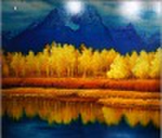 elegant decoractive glass