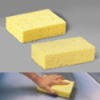 scouring sponge