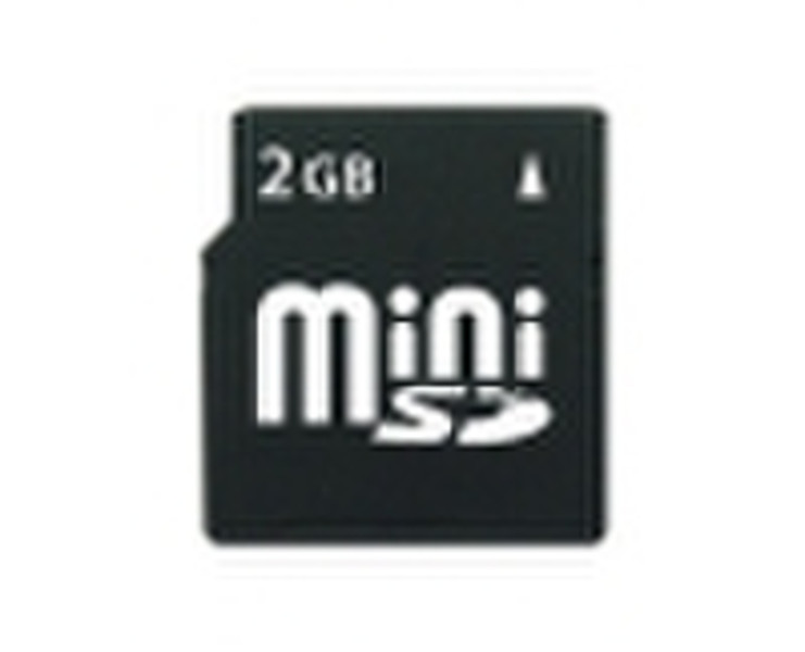 Mini SD 1gb card