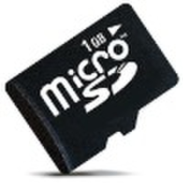 micro sd 1gb