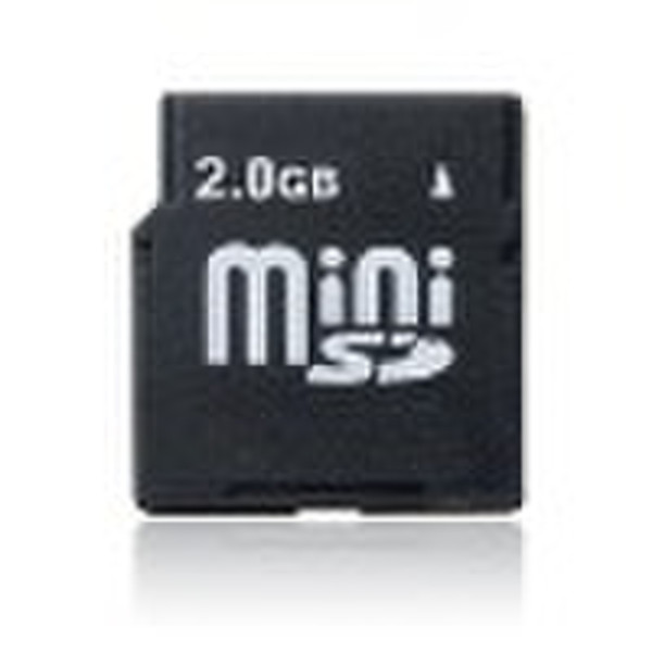 Mini sd  card 2GB