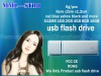 lowly price usb flash drive