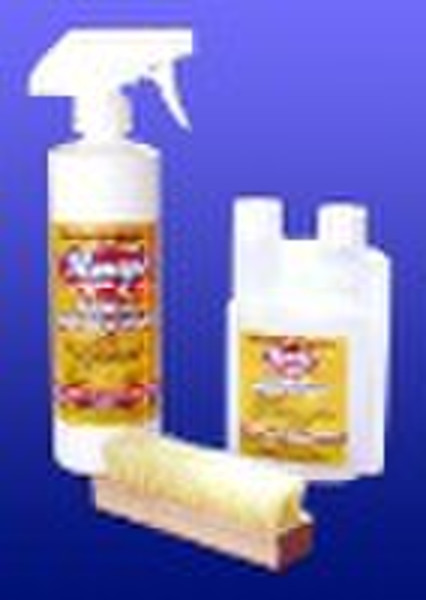 Carpet Cleaning Kit