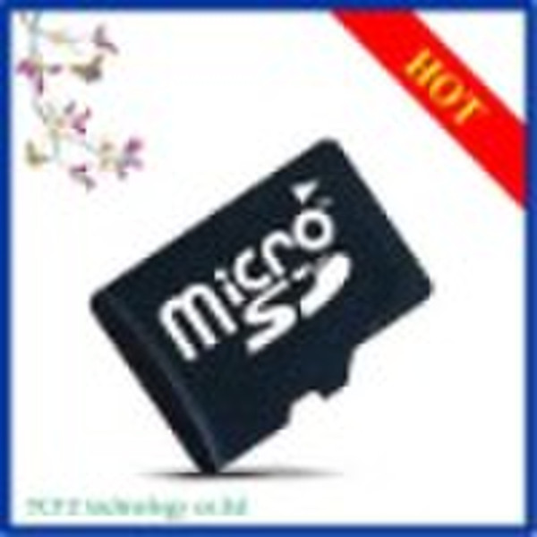 2gb micro sd card