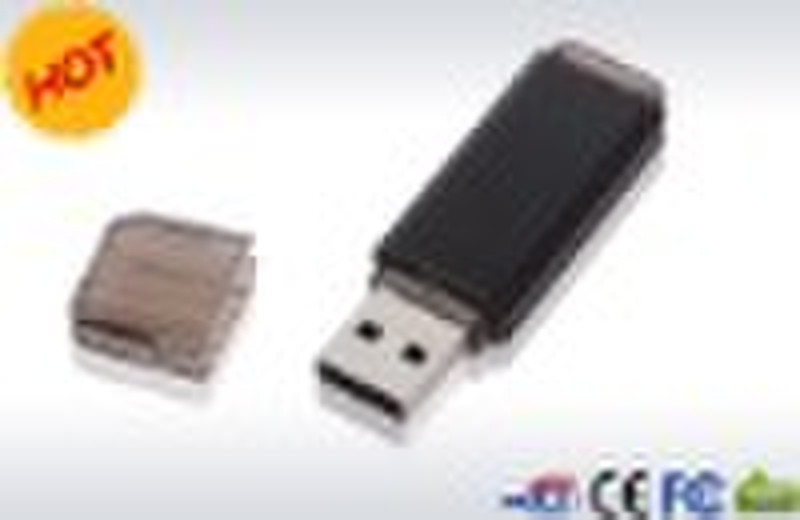 Promotional gift 1GB usb flash