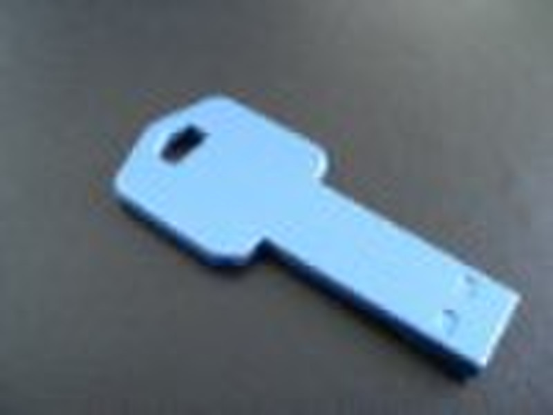 New-stely 4GB Key flash disk