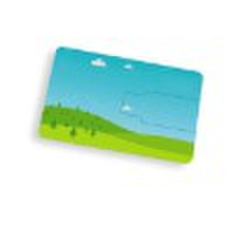 2011 hottest credit card usb