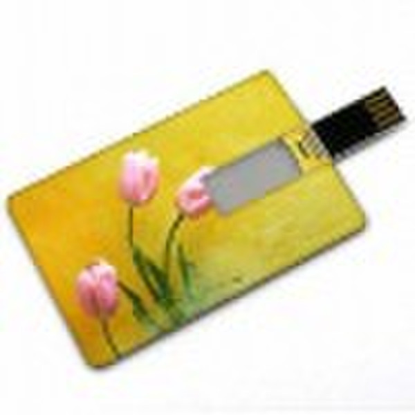 Good promotion item-Credit card usb flash drive