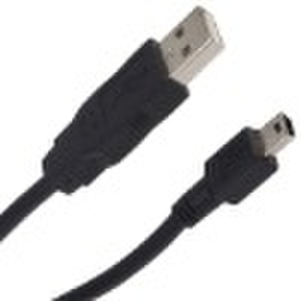 usb A to Mini B cable
