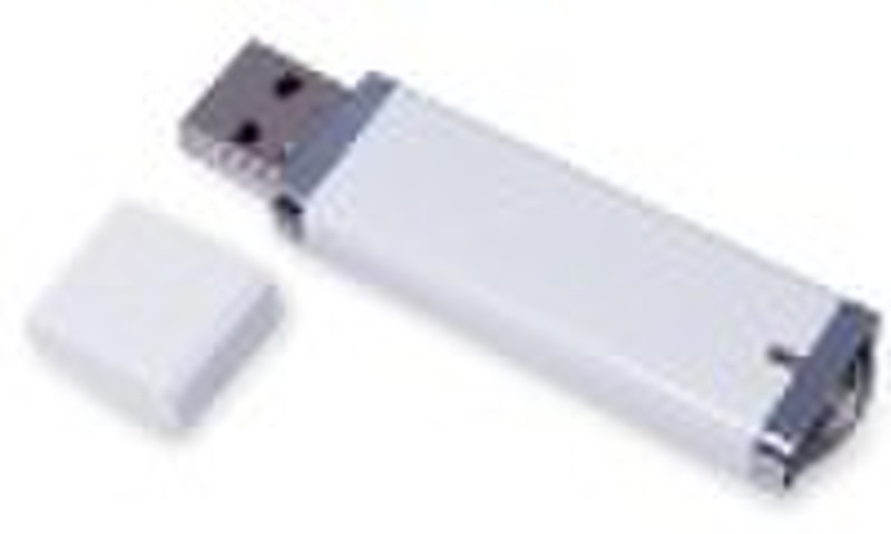 Plastic USB Flash Disk YS-2543