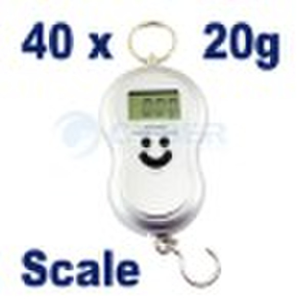 40kg x 20g Electronic Portable Scale