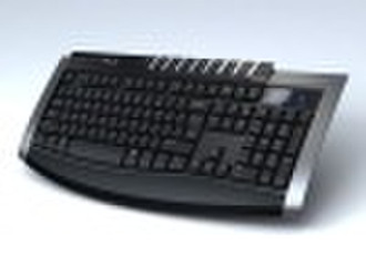 Multimedia keyboard WX-100