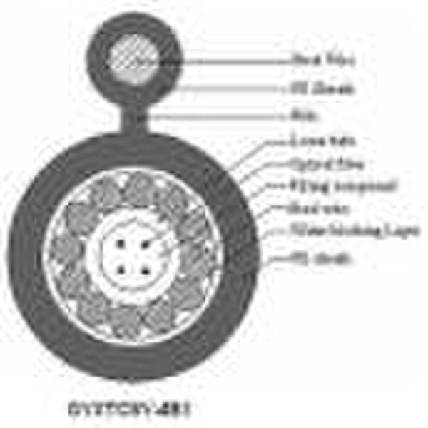 Optical Fiber Cable (GYXTC8Y)